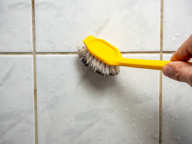 Office Mold Removal Services in Fort Stockton, TX