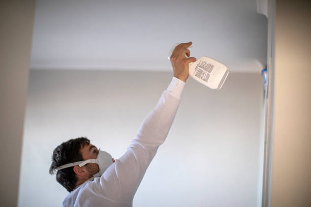 Reliable Fort Stockton, TX Mold Removal Solutions