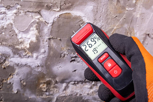 Best Crawl Space Mold Removal  in Fort Stockton, TX