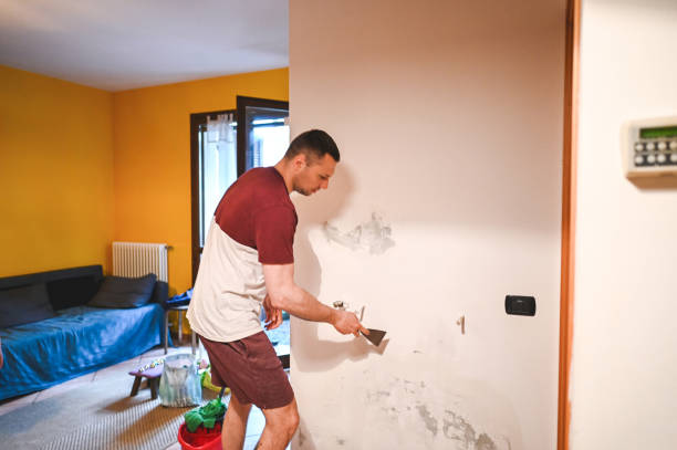 Best Certified Mold Removal  in Fort Stockton, TX